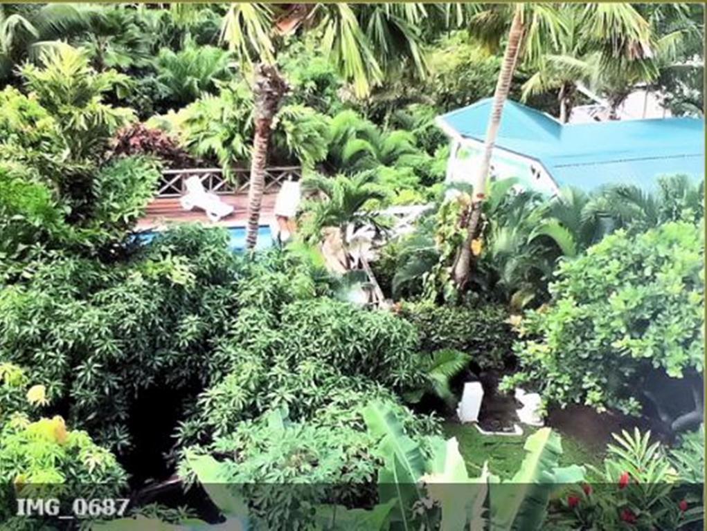 Apartment Espoir Castries Ngoại thất bức ảnh